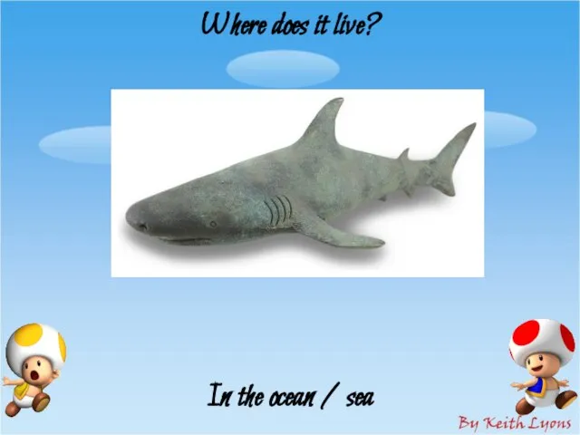 Where does it live? In the ocean / sea