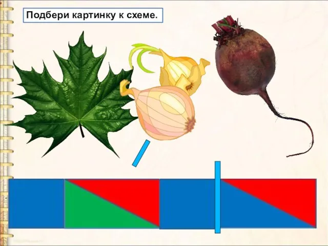 Подбери картинку к схеме.