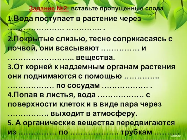 Задание №2: вставьте пропущенные слова 1.Вода поступает в растение через …………………. …………..