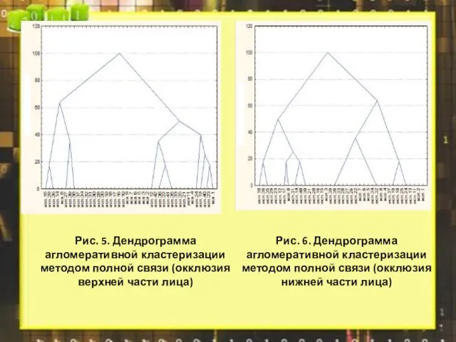 Рис. 5. Дендрограмма агломеративной кластеризации методом полной связи (окклюзия верхней части лица)