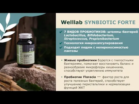 Welllab SYNBIOTIC FORTE Живые пробиотики борются с гнилостными бактериями, помогают восстановить баланс