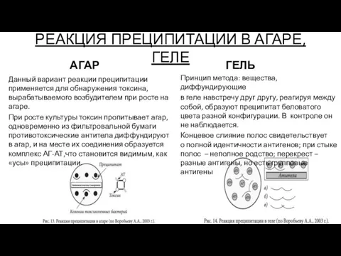 РЕАКЦИЯ ПРЕЦИПИТАЦИИ В АГАРЕ, ГЕЛЕ АГАР Данный вариант реакции преципитации применяется для