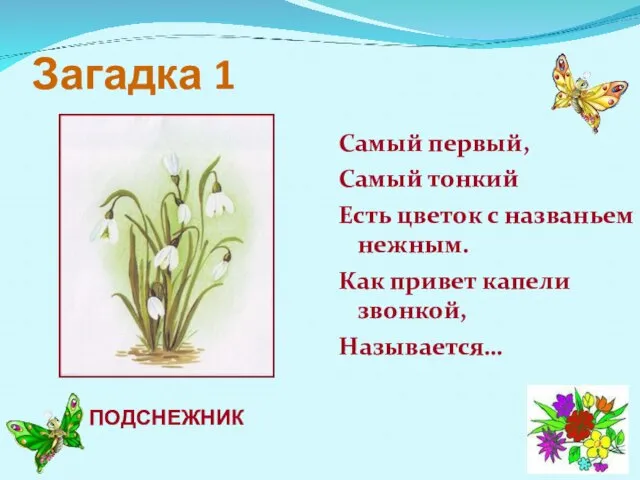 Загадка 1 Самый первый, Самый тонкий Есть цветок с названьем нежным. Как