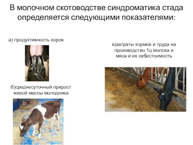 В молочном скотоводстве синдроматика стада определяется следующими показателями: а) продуктивность коров б)среднесуточный