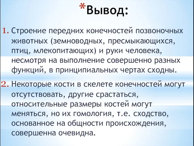 Вывод: Строение передних конечностей позвоночных животных (земноводных, пресмыкающихся, птиц, млекопитающих) и руки