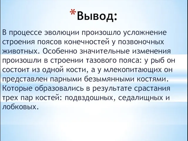 Вывод: В процессе эволюции произошло усложнение строения поясов конечностей у позвоночных животных.