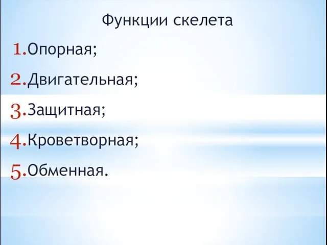 Функции скелета Опорная; Двигательная; Защитная; Кроветворная; Обменная.