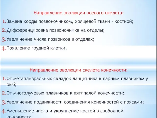 Направление эволюции осевого скелета: Замена хорды позвоночником, хрящевой ткани – костной; Дифференцировка