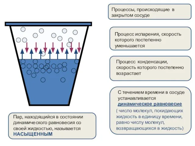 Процессы, происходящие в закрытом сосуде Процесс испарения, скорость которого постепенно уменьшается Процесс