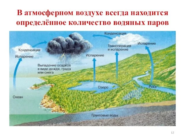 В атмосферном воздухе всегда находится определённое количество водяных паров