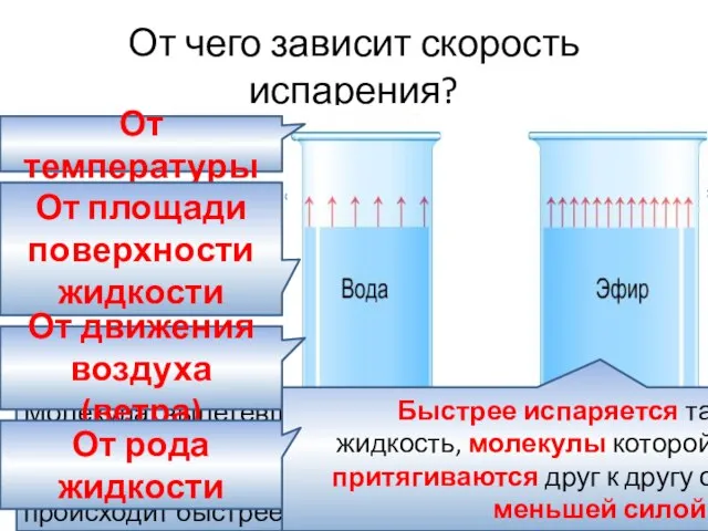 От чего зависит скорость испарения? Чем выше температура жидкости, тем больше скорость