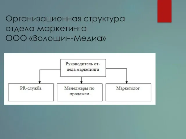 Организационная структура отдела маркетинга ООО «Волошин-Медиа»