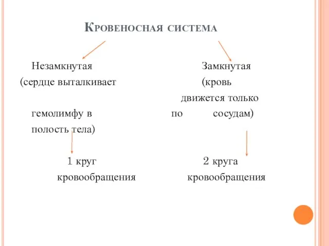 Кровеносная система Незамкнутая Замкнутая (сердце выталкивает (кровь движется только гемолимфу в по