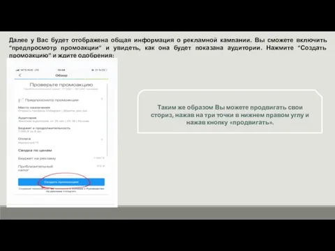 Далее у Вас будет отображена общая информация о рекламной кампании. Вы сможете