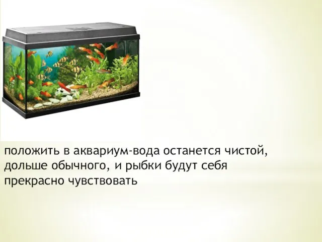 положить в аквариум-вода останется чистой, дольше обычного, и рыбки будут себя прекрасно чувствовать