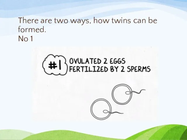 There are two ways, how twins can be formed. No 1