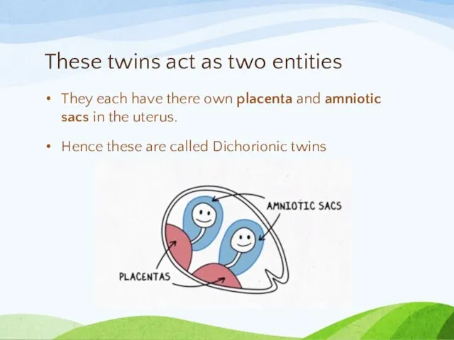 These twins act as two entities They each have there own placenta