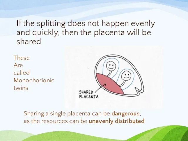 If the splitting does not happen evenly and quickly, then the placenta