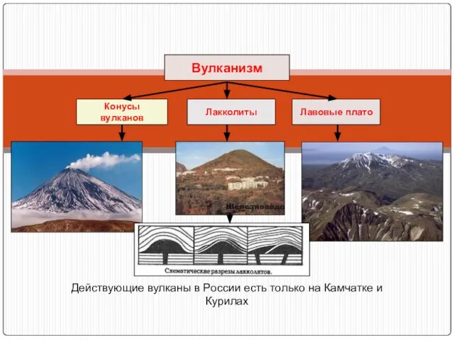 Вулканизм Конусы вулканов Лакколиты Лавовые плато Действующие вулканы в России есть только на Камчатке и Курилах