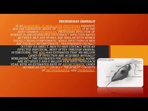 Trichomonas vaginalis is an anaerobic, flagellated protozoan parasite and the causative agent