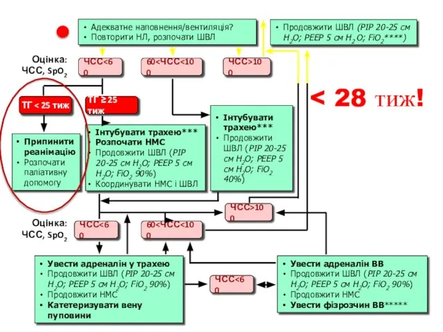 Продовжити ШВЛ (РІР 20-25 см Н2О; РЕЕР 5 см Н2 О; FiO2****)