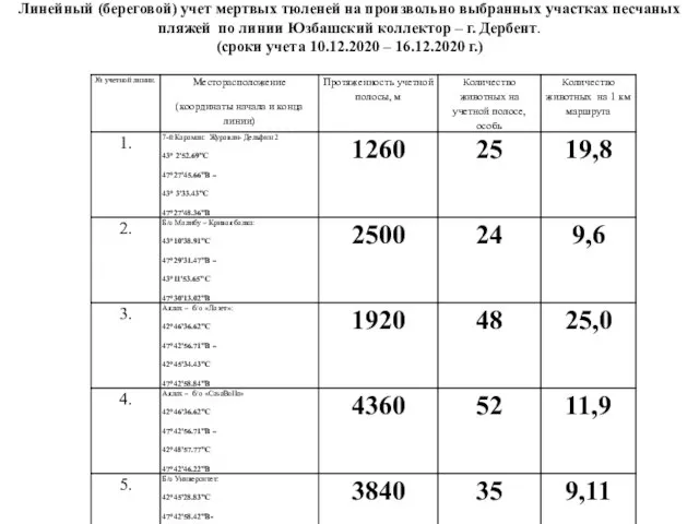 Линейный (береговой) учет мертвых тюленей на произвольно выбранных участках песчаных пляжей по