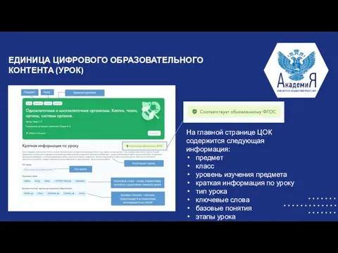 ЕДИНИЦА ЦИФРОВОГО ОБРАЗОВАТЕЛЬНОГО КОНТЕНТА (УРОК) На главной странице ЦОК содержится следующая информация: