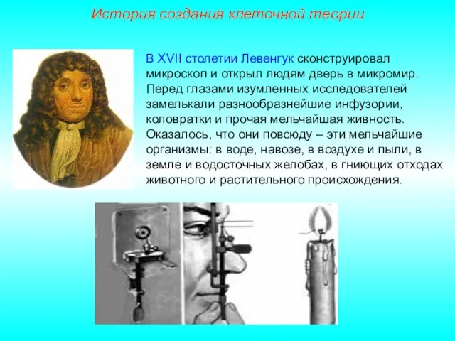 В XVII столетии Левенгук сконструировал микроскоп и открыл людям дверь в микромир.