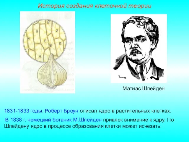 Матиас Шлейден 1831-1833 годы. Роберт Броун описал ядро в растительных клетках. В
