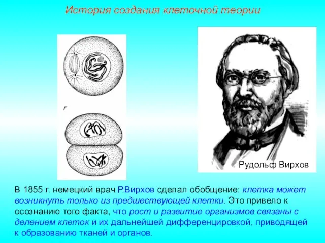 Рудольф Вирхов В 1855 г. немецкий врач Р.Вирхов сделал обобщение: клетка может
