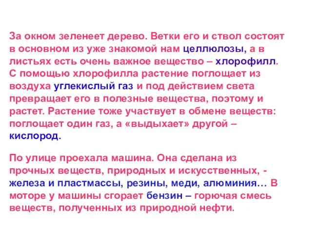 За окном зеленеет дерево. Ветки его и ствол состоят в основном из