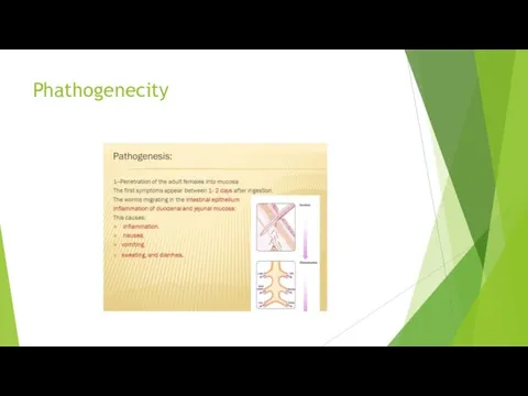 Phathogenecity