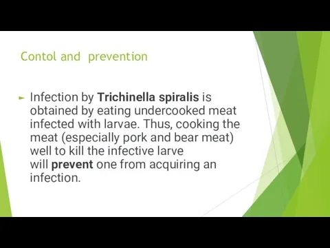 Contol and prevention Infection by Trichinella spiralis is obtained by eating undercooked