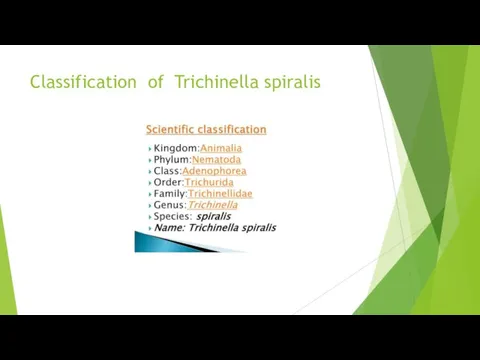 Classification of Trichinella spiralis