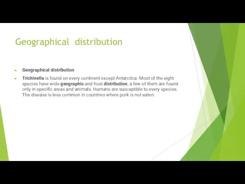 Geographical distribution Geographical distribution Trichinella is found on every continent except Antarctica.