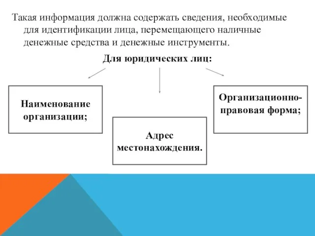 Такая информация должна содержать сведения, необходимые для идентификации лица, перемещающего наличные денежные