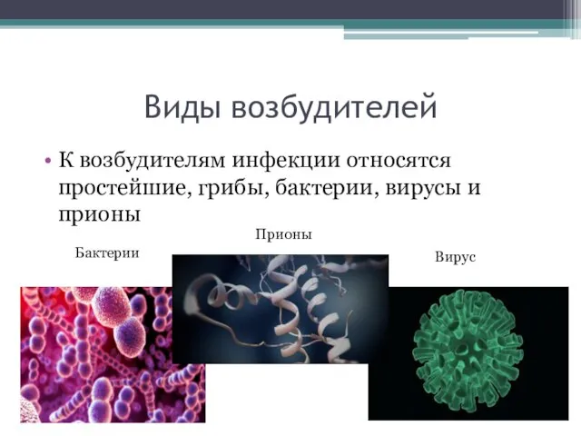 Виды возбудителей К возбудителям инфекции относятся простейшие, грибы, бактерии, вирусы и прионы Бактерии Вирус Прионы