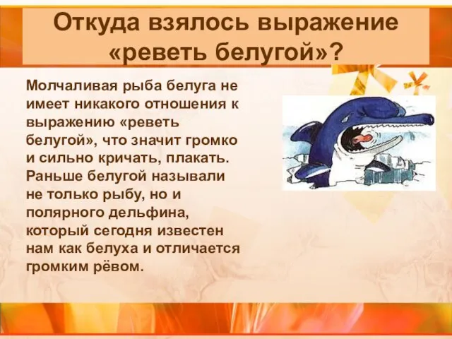 Откуда взялось выражение «реветь белугой»? Молчаливая рыба белуга не имеет никакого отношения