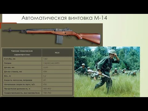 Автоматическая винтовка М-14