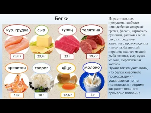 Из растительных продуктов, наиболее ценные белки содержат гречка, фасоль, картофель сушеный, ржаной