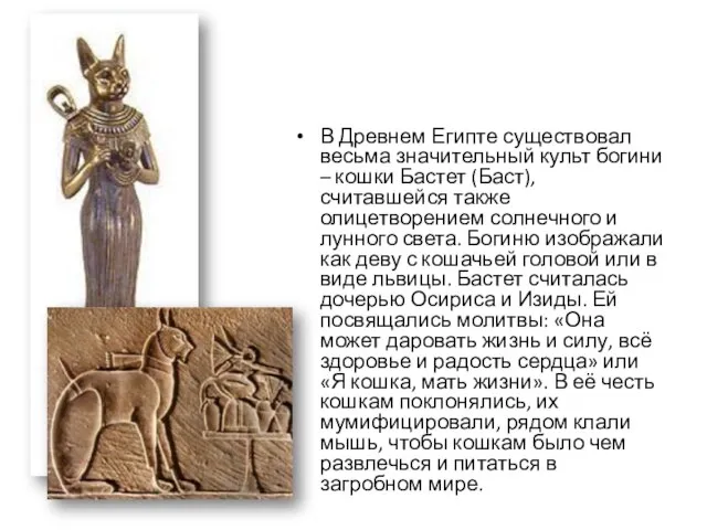 В Древнем Египте существовал весьма значительный культ богини – кошки Бастет (Баст),