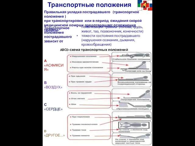 Транспортные положения Правильная укладка пострадавшего (транспортное положение ) при транспортировке или в