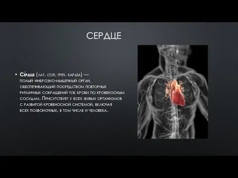 СЕРДЦЕ Се́рдце (лат. соr, греч. καρδία) — полый фиброзно-мышечный орган, обеспечивающий посредством