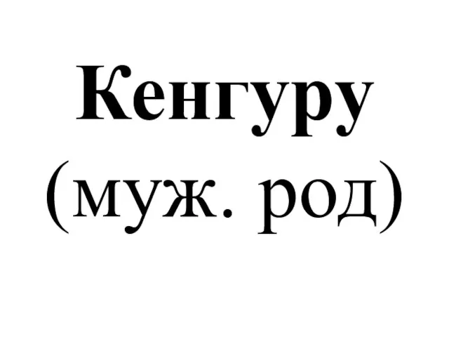 Кенгуру (муж. род)