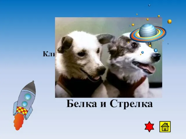 Клички собак, благополучно слетавших в космос. Белка и Стрелка