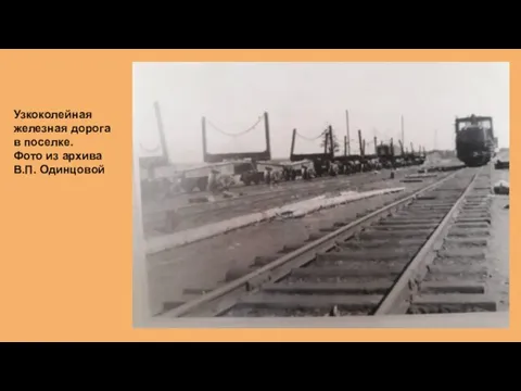Узкоколейная железная дорога в поселке. Фото из архива В.П. Одинцовой