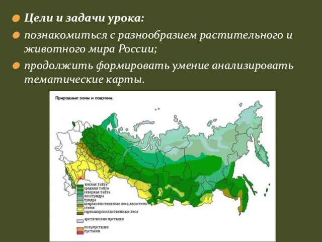 Цели и задачи урока: познакомиться с разнообразием растительного и животного мира России;