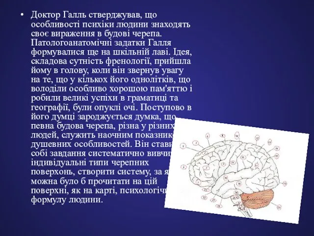 Доктор Галль стверджував, що особливості психіки людини знаходять своє вираження в будові