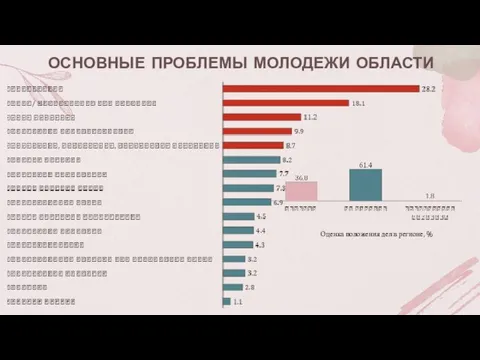 ОСНОВНЫЕ ПРОБЛЕМЫ МОЛОДЕЖИ ОБЛАСТИ Оценка положения дел в регионе, %