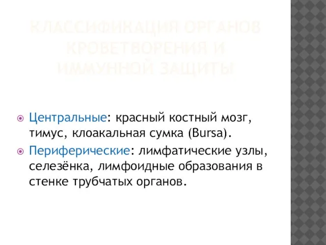 КЛАССИФИКАЦИЯ ОРГАНОВ КРОВЕТВОРЕНИЯ И ИММУННОЙ ЗАЩИТЫ Центральные: красный костный мозг, тимус, клоакальная